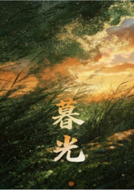 暮光4小说