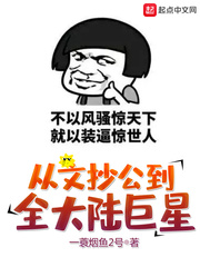 从文抄公到全大陆巨星 下载